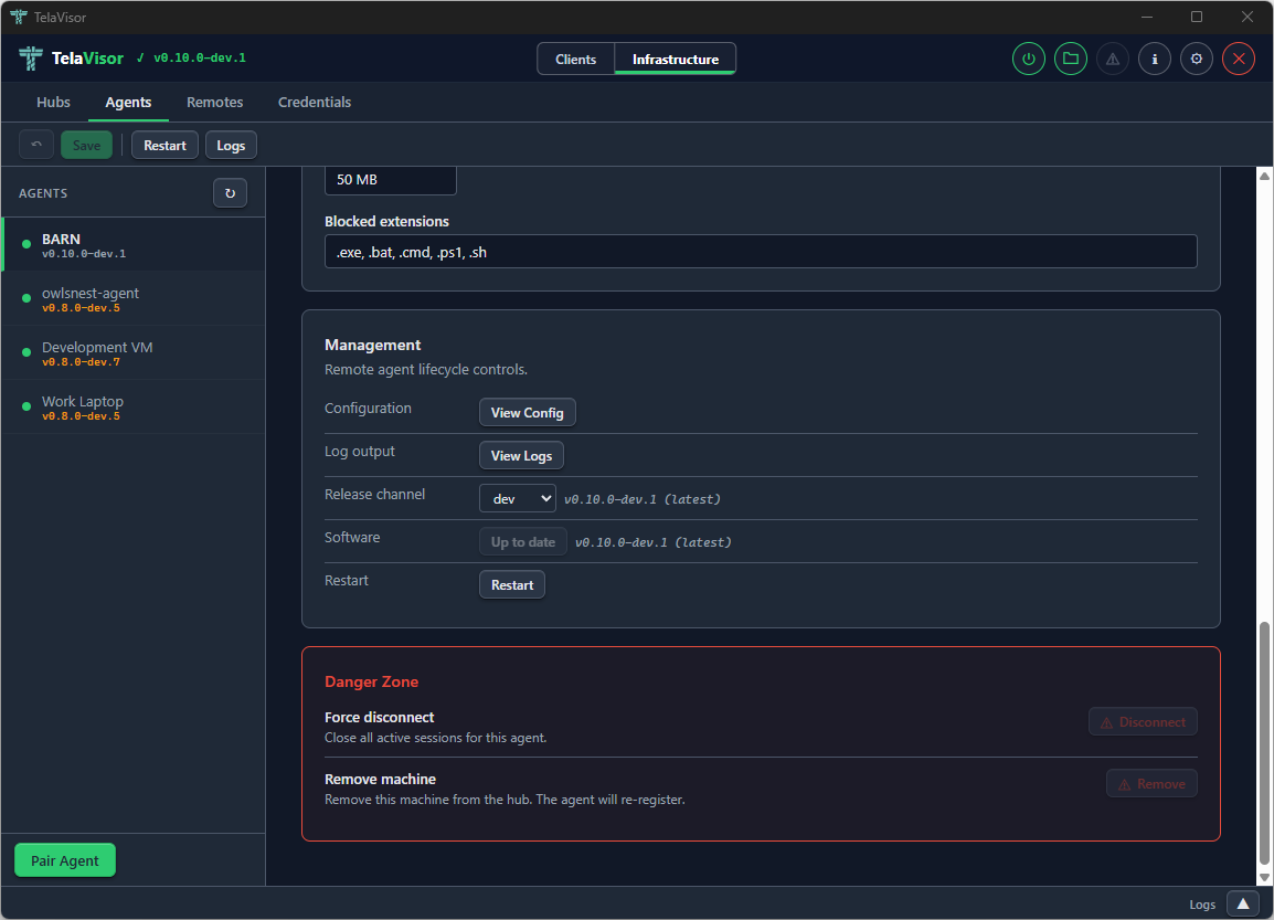 Agent detail after update