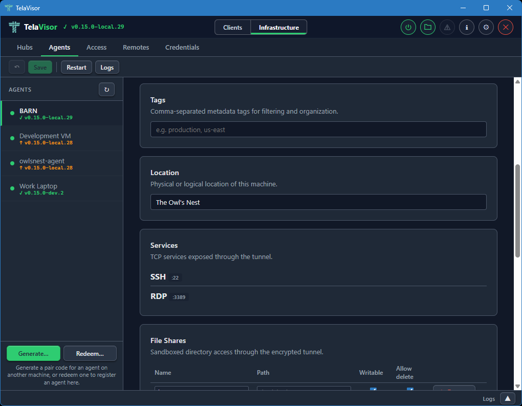 Agent detail: Location, Services, and File Share