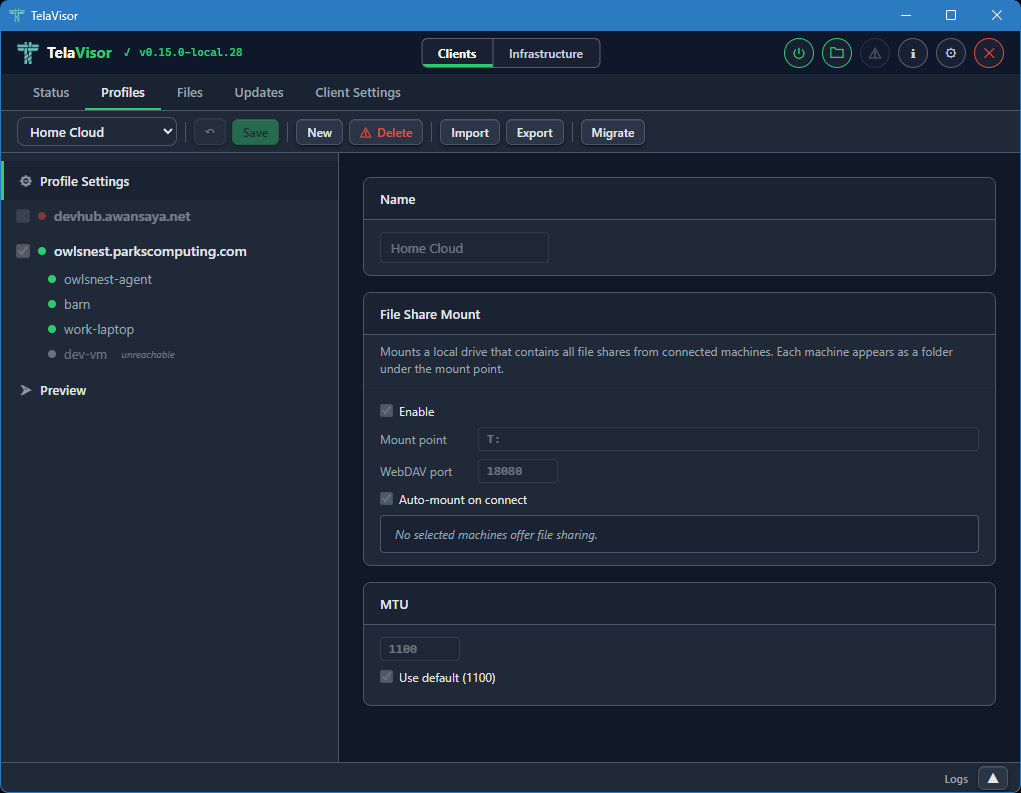 Profiles tab, Profile Settings