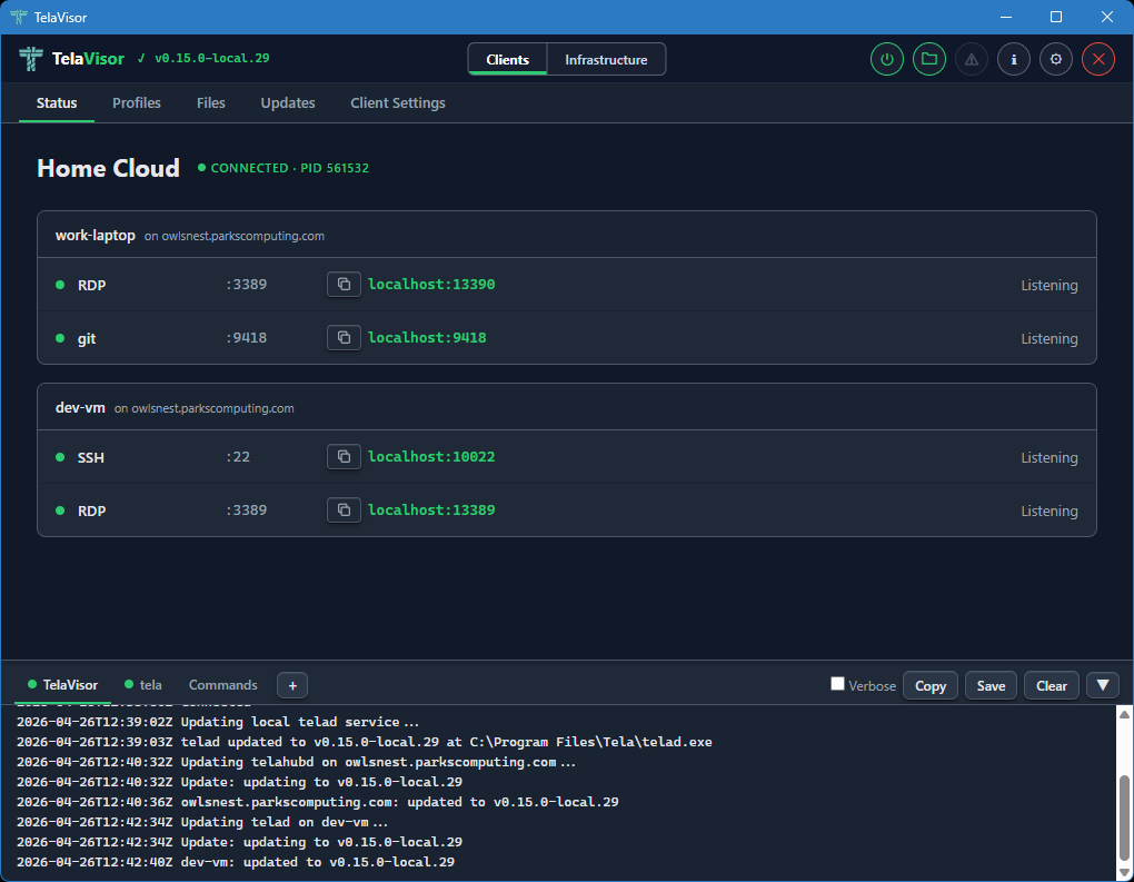 Log panel with tela output