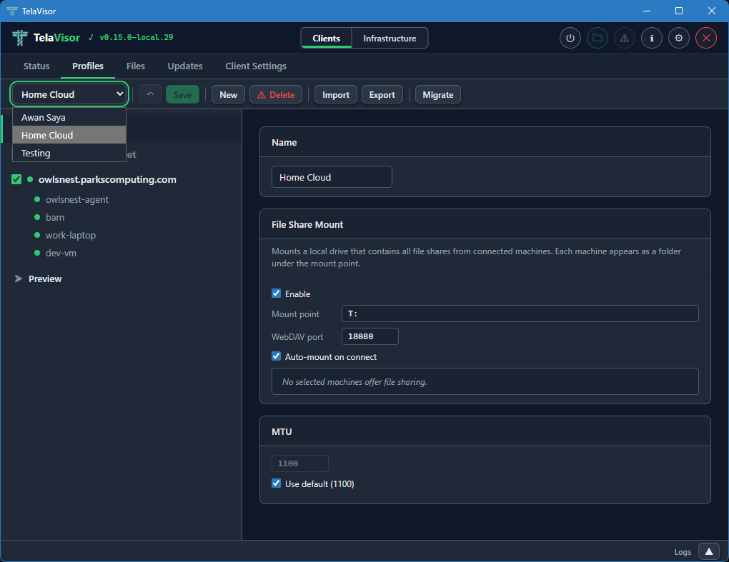 Profiles tab, profile switcher