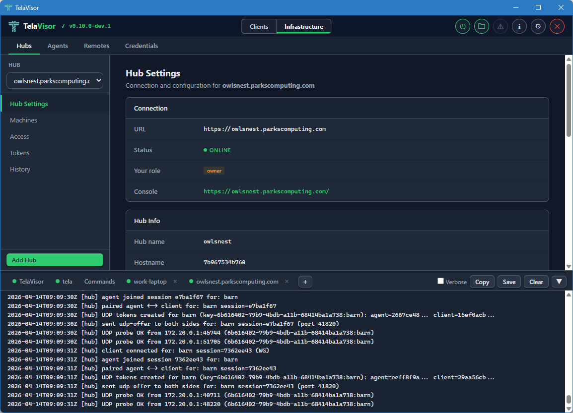 Log tab for an agent