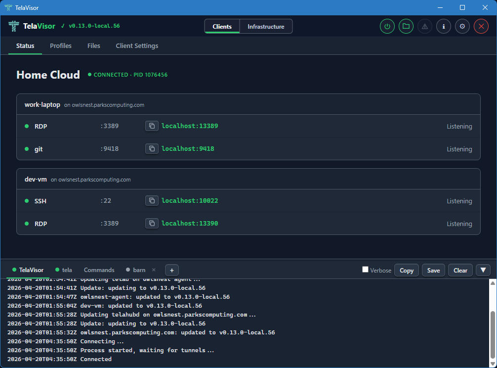 Status tab, connected