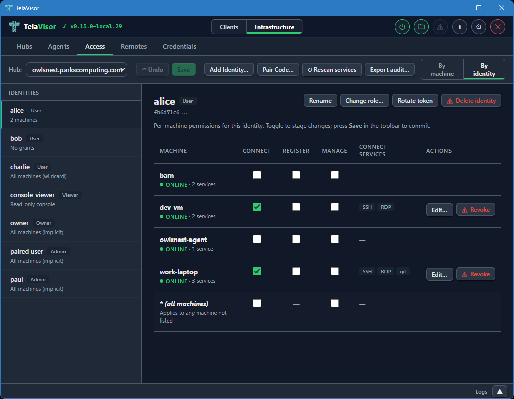 Access tab, By identity view