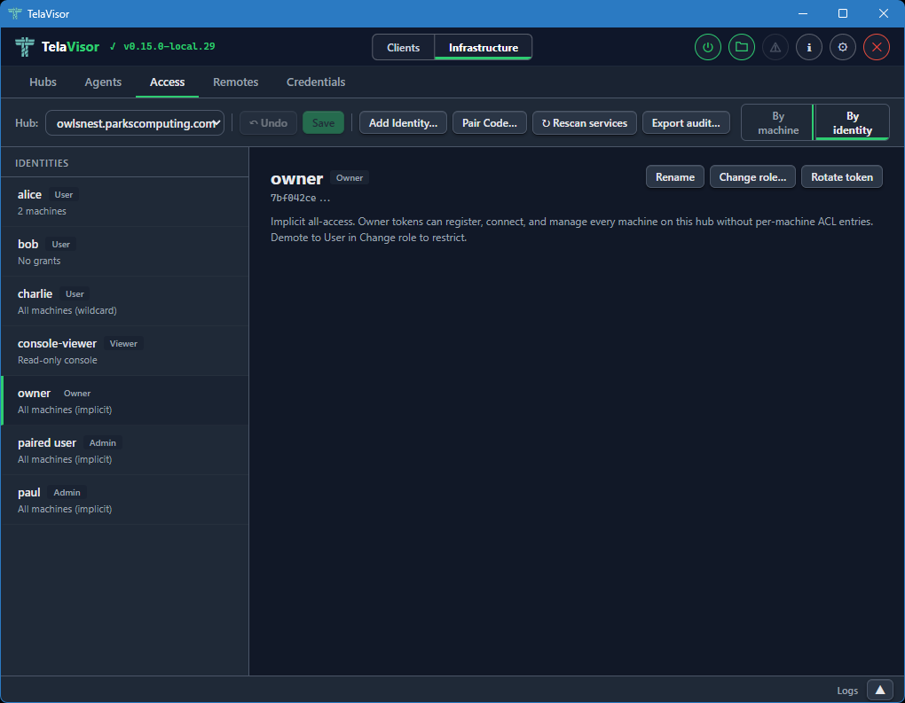 By identity view, owner identity selected