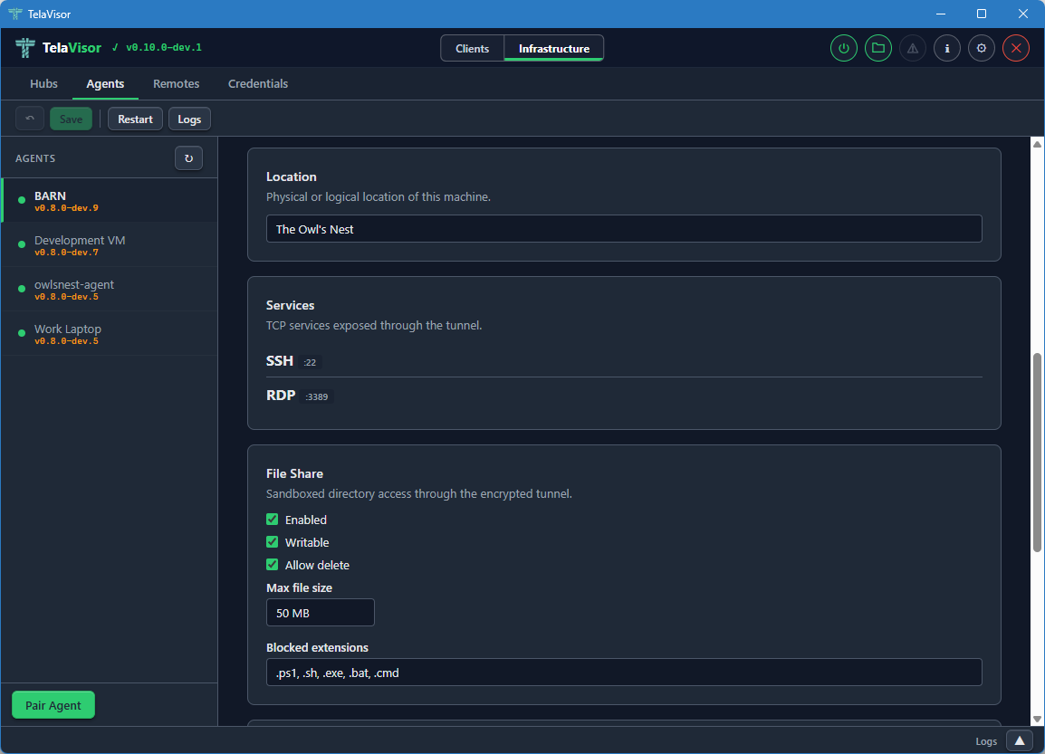 Agent detail: Location, Services, and File Share